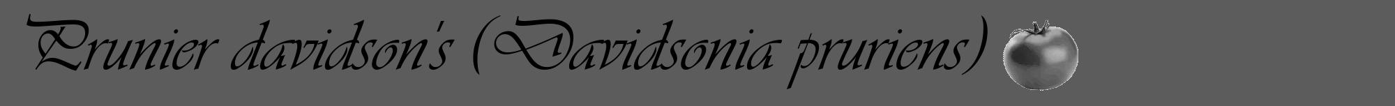 Étiquette de : Davidsonia pruriens - format a - style noire49viv avec comestibilité simplifiée
