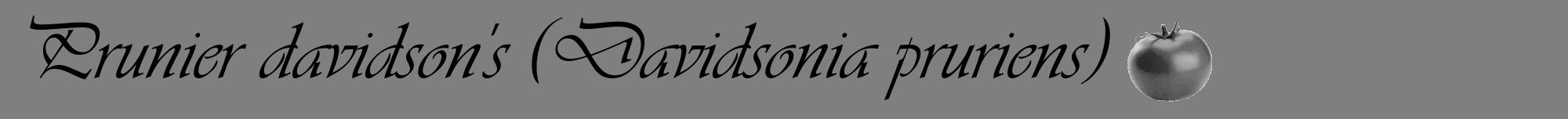 Étiquette de : Davidsonia pruriens - format a - style noire57viv avec comestibilité simplifiée