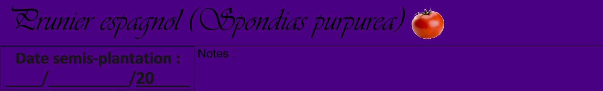 Étiquette de : Spondias purpurea - format a - style noire47viv avec comestibilité simplifiée
