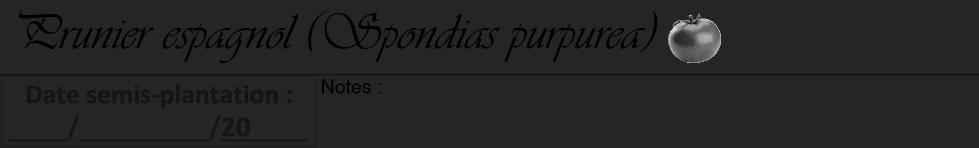 Étiquette de : Spondias purpurea - format a - style noire47viv avec comestibilité simplifiée