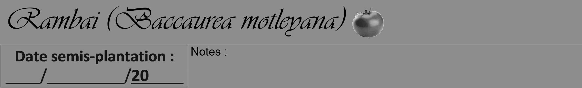 Étiquette de : Baccaurea motleyana - format a - style noire2viv avec comestibilité simplifiée