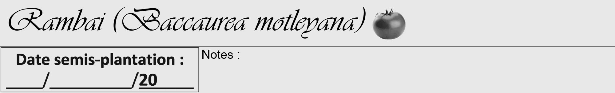 Étiquette de : Baccaurea motleyana - format a - style noire55viv avec comestibilité simplifiée