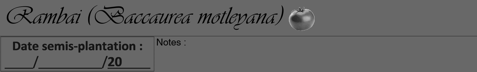 Étiquette de : Baccaurea motleyana - format a - style noire6viv avec comestibilité simplifiée