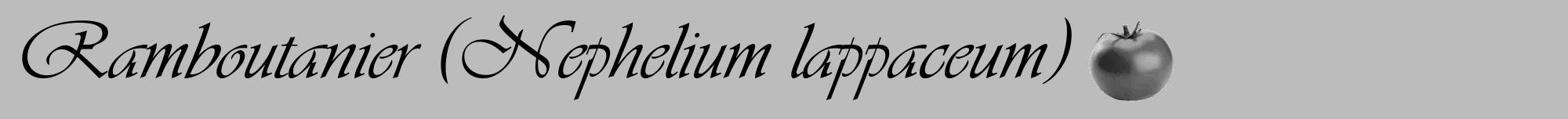 Étiquette de : Nephelium lappaceum - format a - style noire1viv avec comestibilité simplifiée