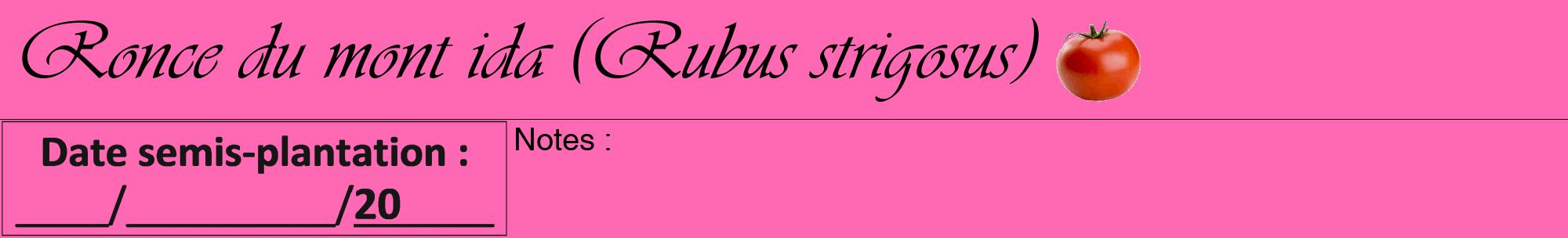 Étiquette de : Rubus strigosus - format a - style noire42viv avec comestibilité simplifiée