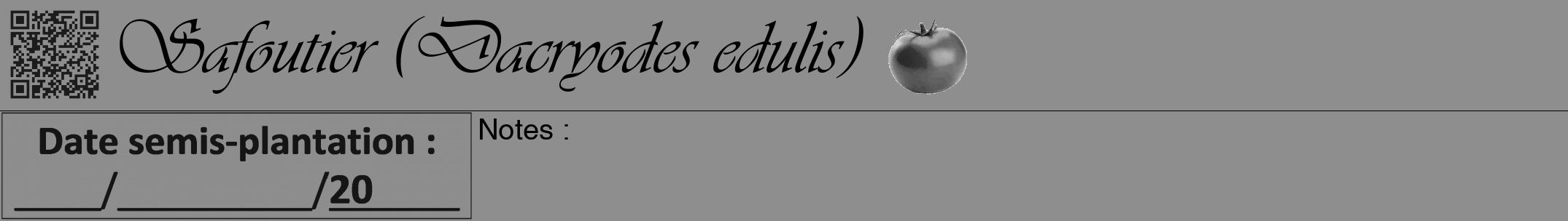 Étiquette de : Dacryodes edulis - format a - style noire25simpleviv avec qrcode et comestibilité simplifiée