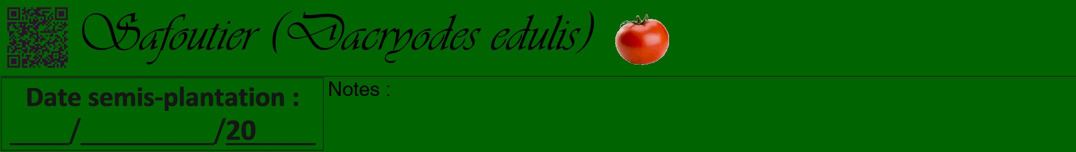 Étiquette de : Dacryodes edulis - format a - style noire8viv avec qrcode et comestibilité simplifiée