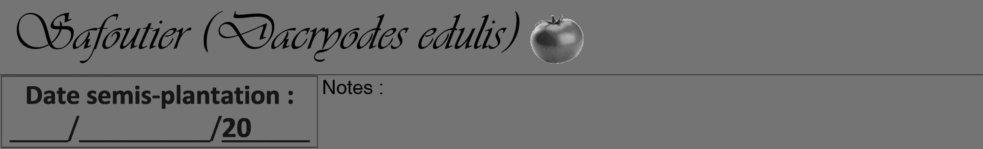 Étiquette de : Dacryodes edulis - format a - style noire26viv avec comestibilité simplifiée