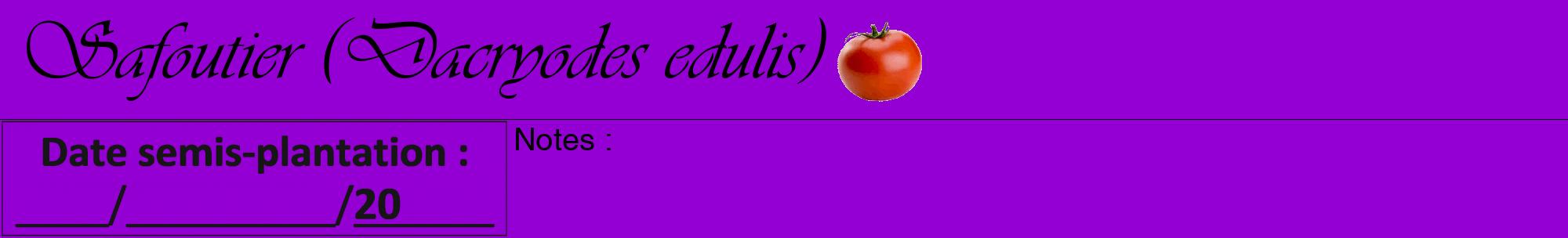 Étiquette de : Dacryodes edulis - format a - style noire48viv avec comestibilité simplifiée