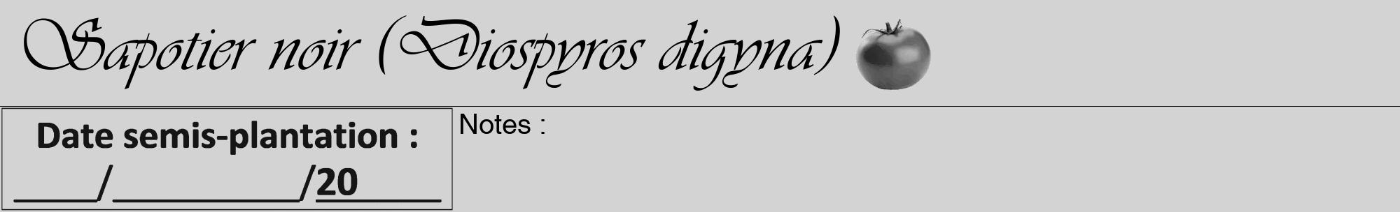 Étiquette de : Diospyros digyna - format a - style noire56viv avec comestibilité simplifiée