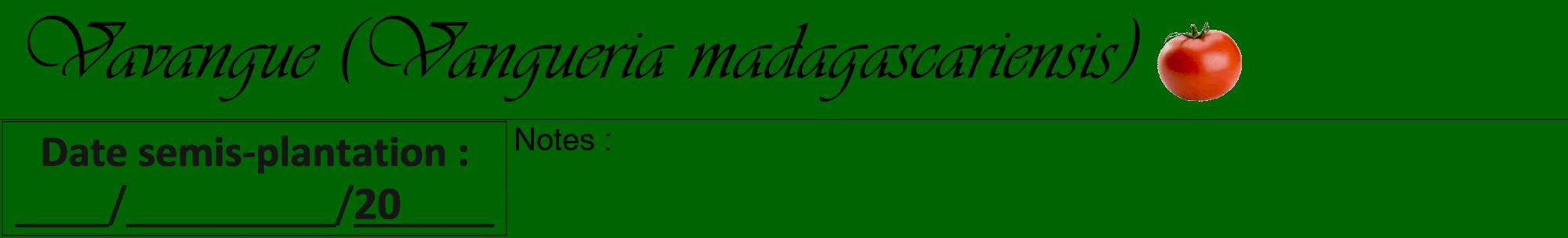 Étiquette de : Vangueria madagascariensis - format a - style noire8viv avec comestibilité simplifiée