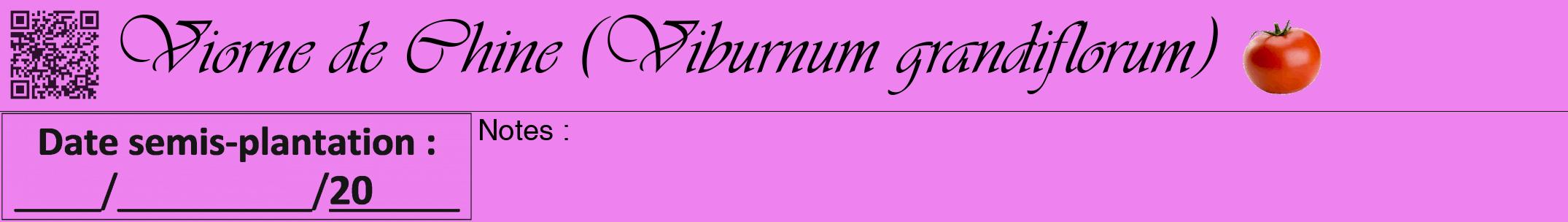 Étiquette de : Viburnum grandiflorum - format a - style noire53simpleviv avec qrcode et comestibilité simplifiée