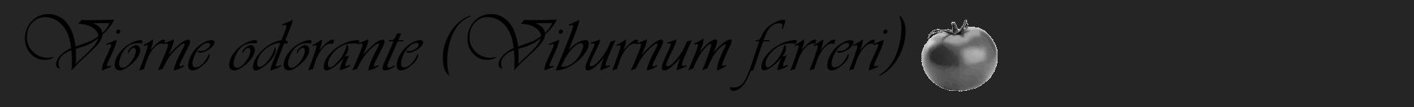 Étiquette de : Viburnum farreri - format a - style noire47viv avec comestibilité simplifiée
