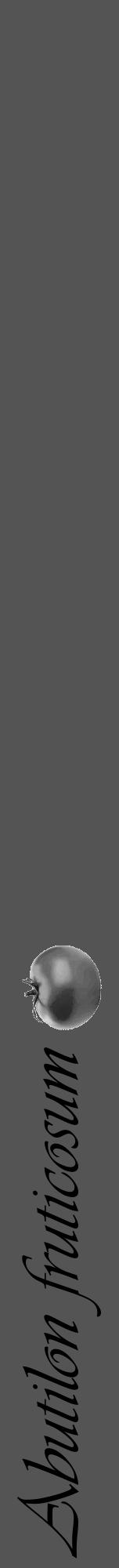 Étiquette de : Abutilon fruticosum - format a - style noire36viv avec comestibilité simplifiée - position verticale