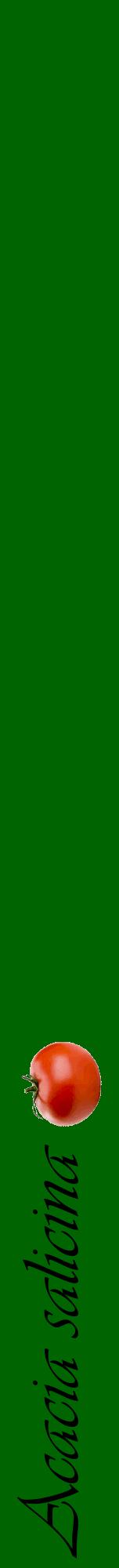 Étiquette de : Acacia salicina - format a - style noire8viv avec comestibilité simplifiée