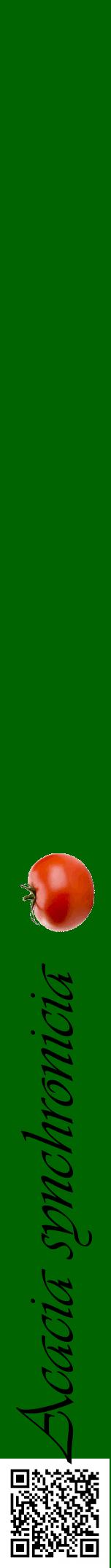 Étiquette de : Acacia synchronicia - format a - style noire8viv avec qrcode et comestibilité simplifiée