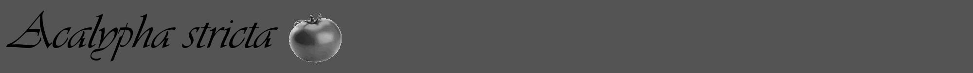 Étiquette de : Acalypha stricta - format a - style noire30viv avec comestibilité simplifiée
