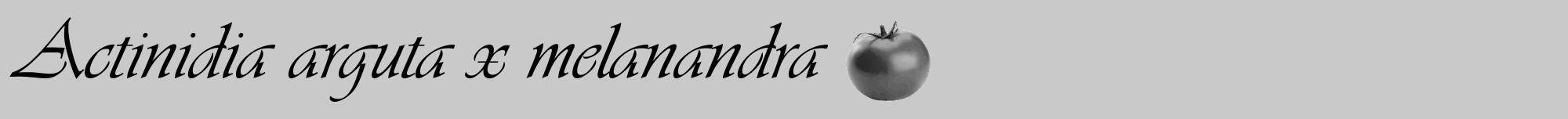 Étiquette de : Actinidia arguta x melanandra - format a - style noire54viv avec comestibilité simplifiée