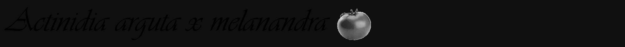 Étiquette de : Actinidia arguta x melanandra - format a - style noire7viv avec comestibilité simplifiée