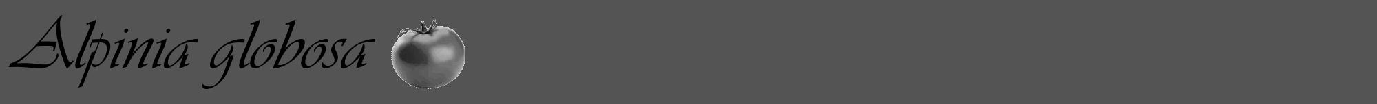Étiquette de : Alpinia globosa - format a - style noire36viv avec comestibilité simplifiée