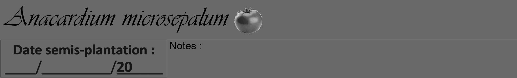 Étiquette de : Anacardium microsepalum - format a - style noire51viv avec comestibilité simplifiée