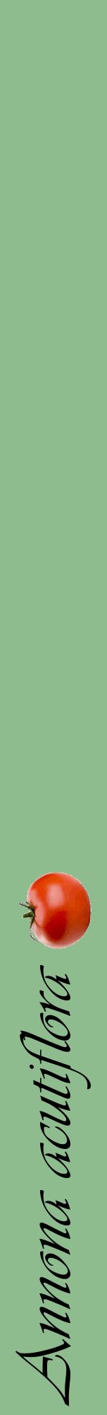 Étiquette de : Annona acutiflora - format a - style noire13viv avec comestibilité simplifiée