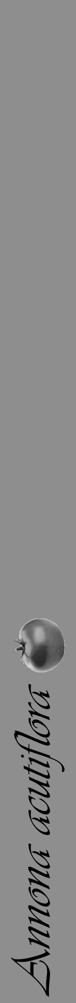 Étiquette de : Annona acutiflora - format a - style noire25viv avec comestibilité simplifiée - position verticale