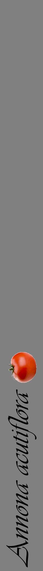 Étiquette de : Annona acutiflora - format a - style noire57viv avec comestibilité simplifiée