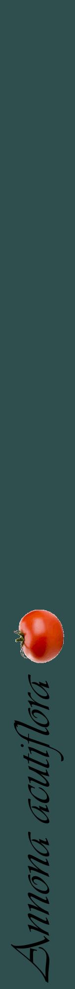 Étiquette de : Annona acutiflora - format a - style noire58viv avec comestibilité simplifiée