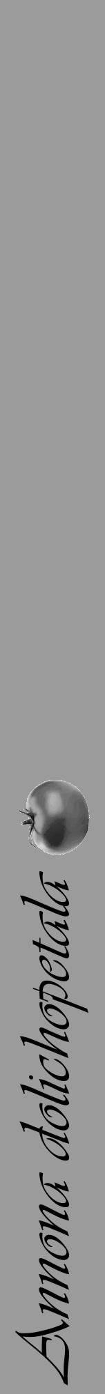 Étiquette de : Annona dolichopetala - format a - style noire52viv avec comestibilité simplifiée - position verticale
