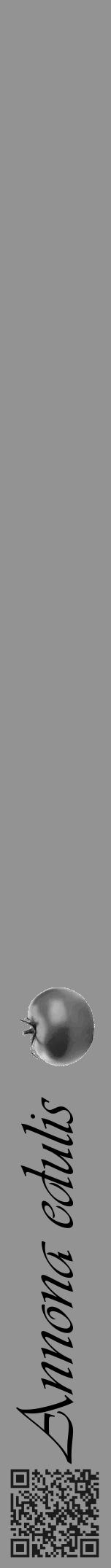 Étiquette de : Annona edulis - format a - style noire44viv avec qrcode et comestibilité simplifiée - position verticale