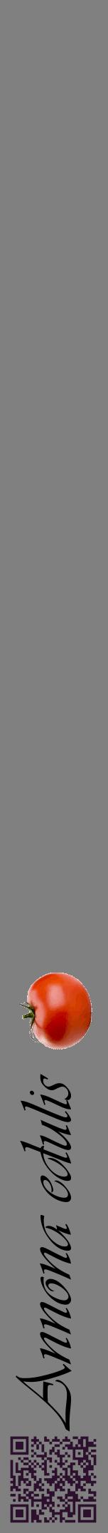 Étiquette de : Annona edulis - format a - style noire57viv avec qrcode et comestibilité simplifiée