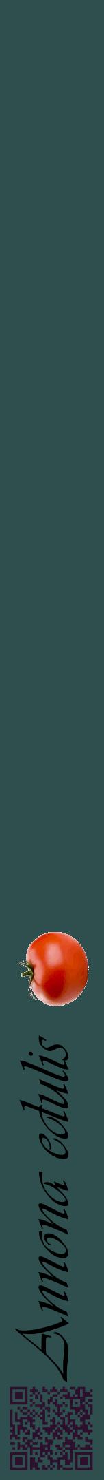 Étiquette de : Annona edulis - format a - style noire58viv avec qrcode et comestibilité simplifiée