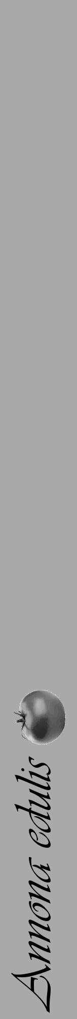 Étiquette de : Annona edulis - format a - style noire13viv avec comestibilité simplifiée - position verticale