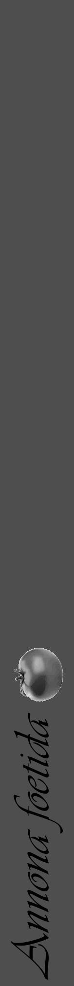 Étiquette de : Annona foetida - format a - style noire33viv avec comestibilité simplifiée - position verticale
