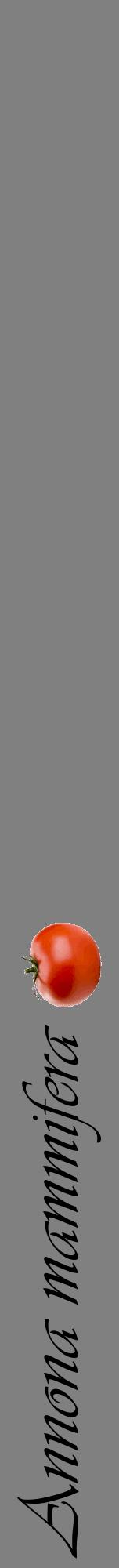 Étiquette de : Annona mammifera - format a - style noire57viv avec comestibilité simplifiée