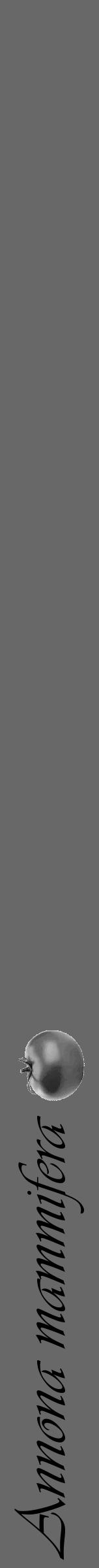 Étiquette de : Annona mammifera - format a - style noire6simpleviv avec comestibilité simplifiée - position verticale