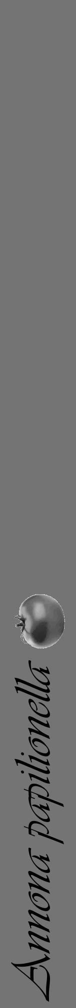 Étiquette de : Annona papilionella - format a - style noire26viv avec comestibilité simplifiée - position verticale