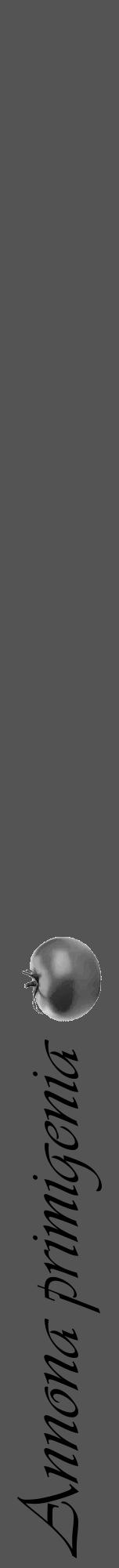 Étiquette de : Annona primigenia - format a - style noire30viv avec comestibilité simplifiée - position verticale