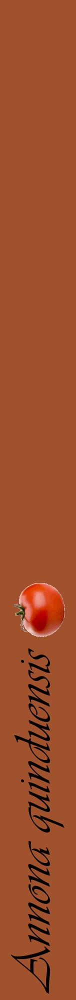 Étiquette de : Annona quinduensis - format a - style noire32viv avec comestibilité simplifiée