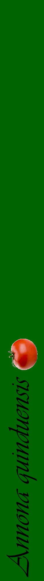 Étiquette de : Annona quinduensis - format a - style noire8viv avec comestibilité simplifiée