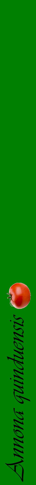 Étiquette de : Annona quinduensis - format a - style noire9viv avec comestibilité simplifiée