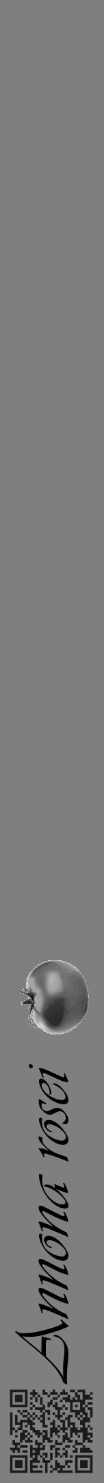 Étiquette de : Annona rosei - format a - style noire31viv avec qrcode et comestibilité simplifiée - position verticale