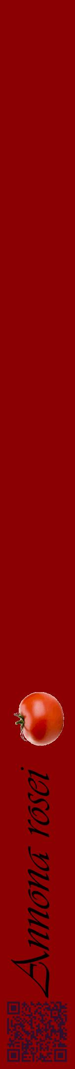 Étiquette de : Annona rosei - format a - style noire34viv avec qrcode et comestibilité simplifiée