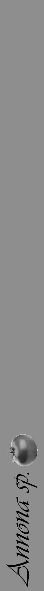 Étiquette de : Annona sp. - format a - style noire25viv avec comestibilité simplifiée - position verticale