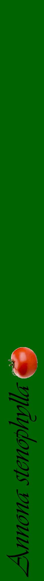 Étiquette de : Annona stenophylla - format a - style noire8viv avec comestibilité simplifiée