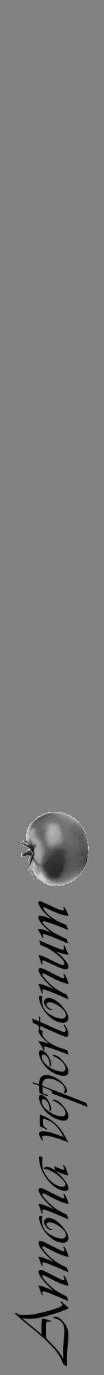 Étiquette de : Annona vepertonum - format a - style noire50viv avec comestibilité simplifiée - position verticale