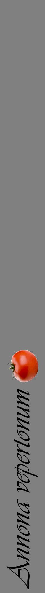 Étiquette de : Annona vepertonum - format a - style noire57viv avec comestibilité simplifiée