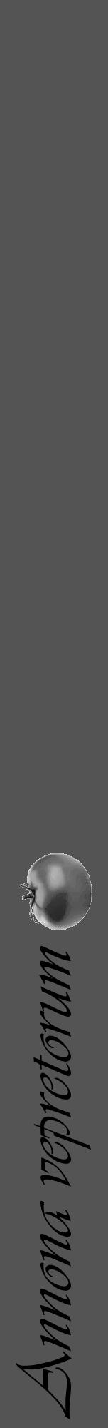 Étiquette de : Annona vepretorum - format a - style noire36viv avec comestibilité simplifiée - position verticale
