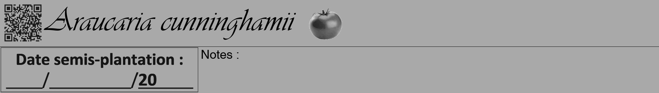Étiquette de : Araucaria cunninghamii - format a - style noire13viv avec qrcode et comestibilité simplifiée